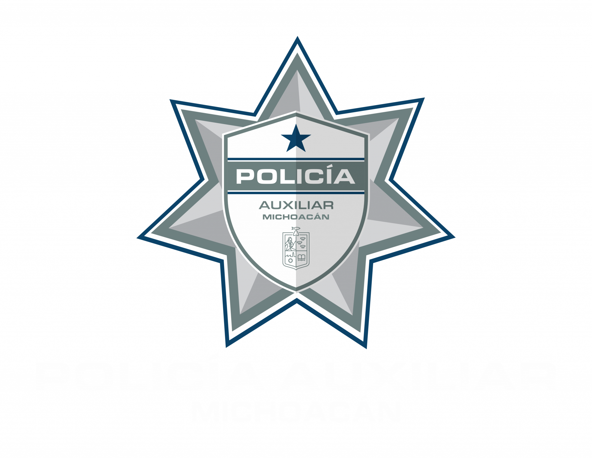 Pa Servicios De La Polic A Auxiliar